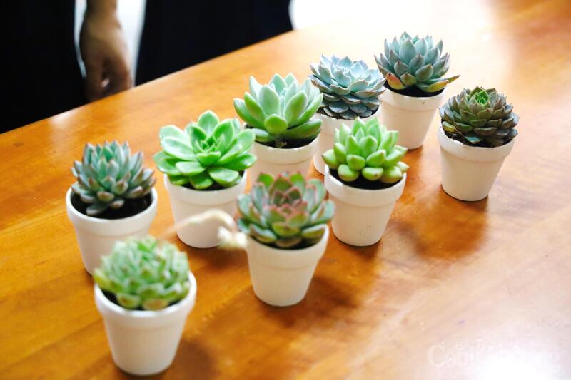 Chương trình đổi pin cũ nhận cây xanh thu hút đông đoàn viên, thanh niên cùng cán bộ, công chức, người lao động. Ảnh: Phương Trang