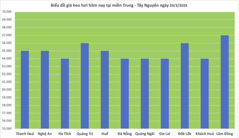 Giá heo hơi hôm nay 20/3/2026: Duy trì đà tăng mạnh - 2