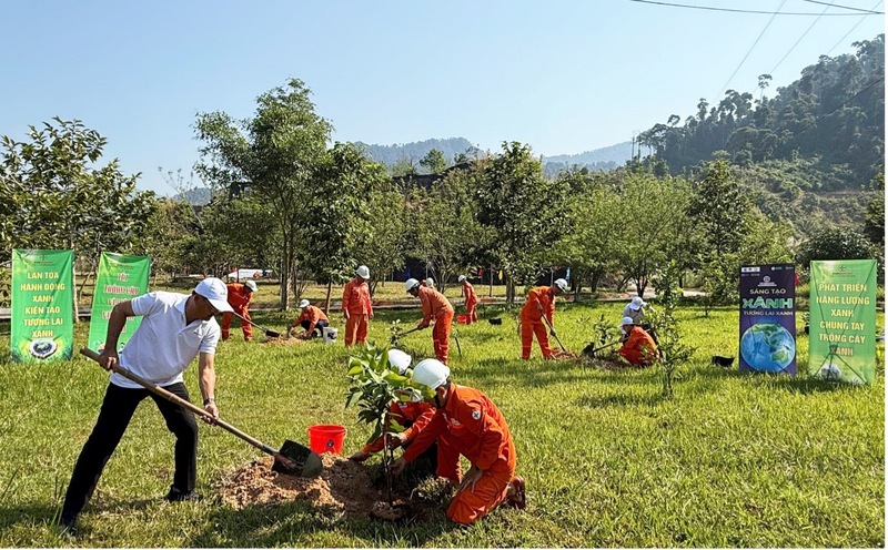 Trồng cây tại Đập dâng Thủy điện Sông Bung 4. Ảnh: Văn Nhân