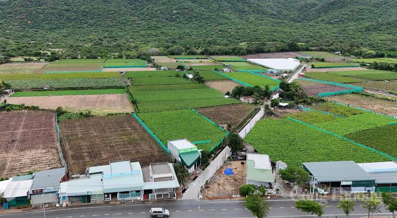 Vị trí dự án Nhà máy điện hạt nhân Ninh Thuận 2. Ảnh: Lê Sơn