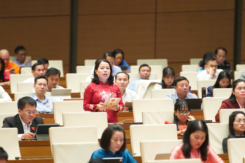 Đại biểu Lý Thị Lan - đoàn Tuyên Quang