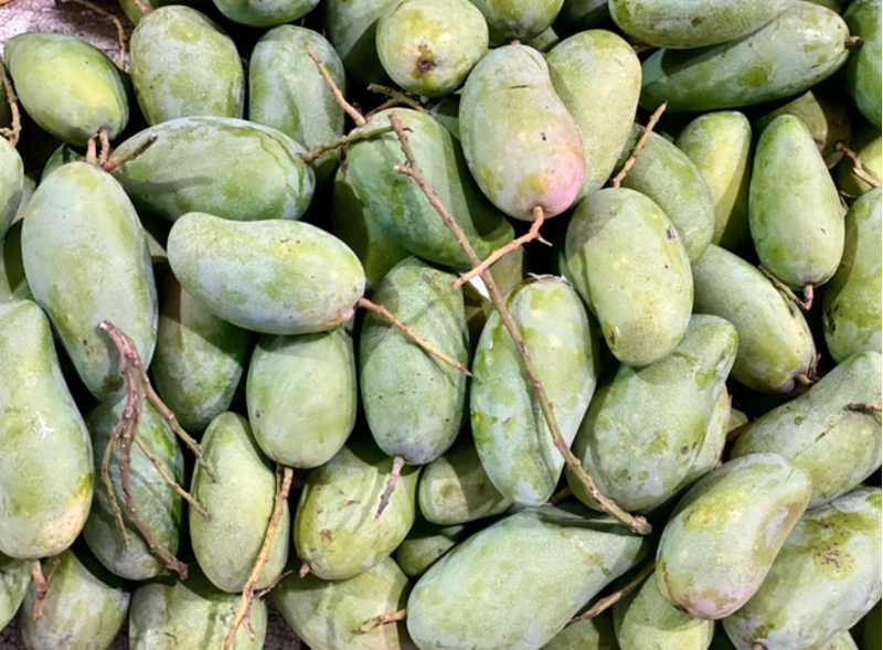 Giá xoài trên thị trường dao động từ 15.000 – 60.000 đồng/kg. Ảnh minh hoạ