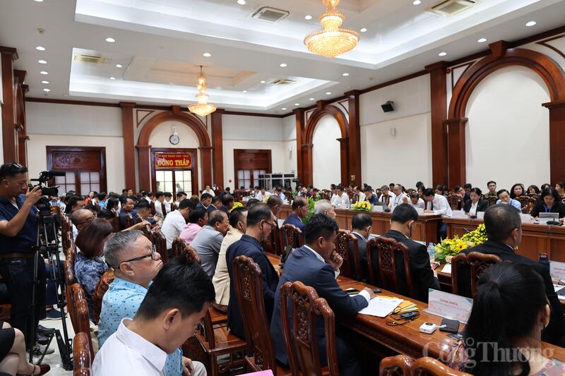 Quang cảnh hội nghị