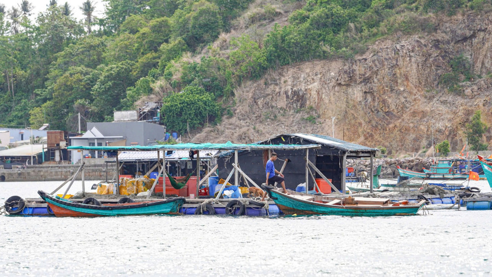 Những lồng bè không chỉ là nơi che mưa che nắng mà còn là cơ ngơi được người dân dày công vun đắp từ nghề biển, trở thành điểm tựa để nhiều hộ gia đình ổn định cuộc sống và phát triển kinh tế tại đặc khu Kiên Hải, tỉnh An Giang