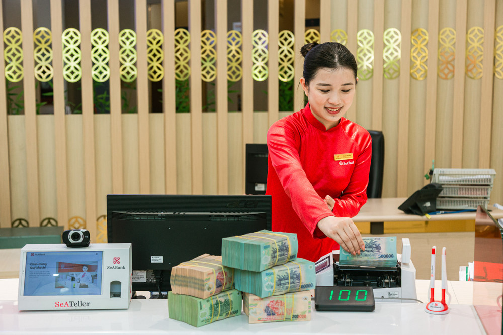 seabank-da-huy-dong-tong-cong-11-ty-usd-von-ngoai-cho-cac-hoat-dong-tai-chinh-toan-dien-ben-vung.jpg