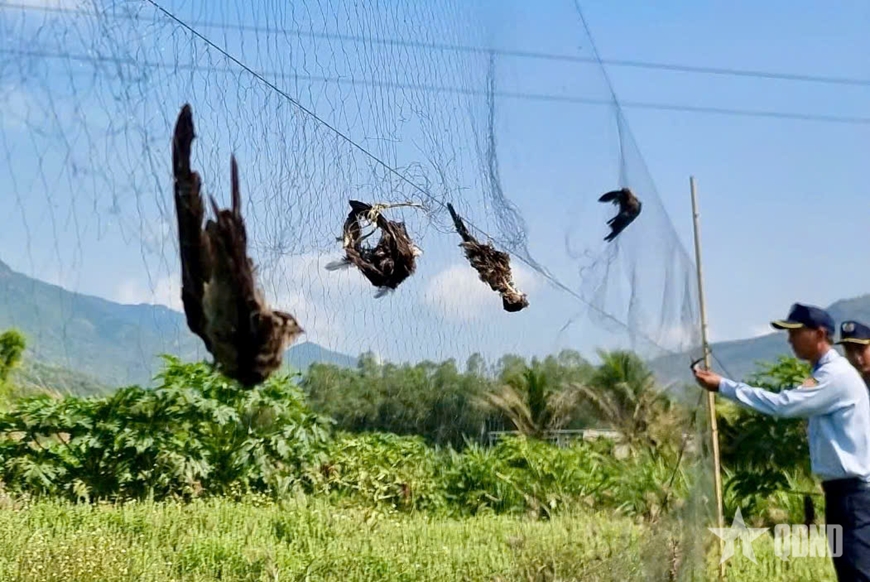 Nâng tầm giá trị thương hiệu Yến sào Khánh Hòa