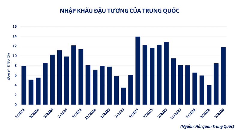 Nhập khẩu đậu tương của Trung Quốc.