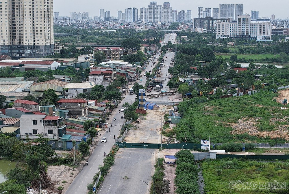 clo_br_cay-xanh.jpg