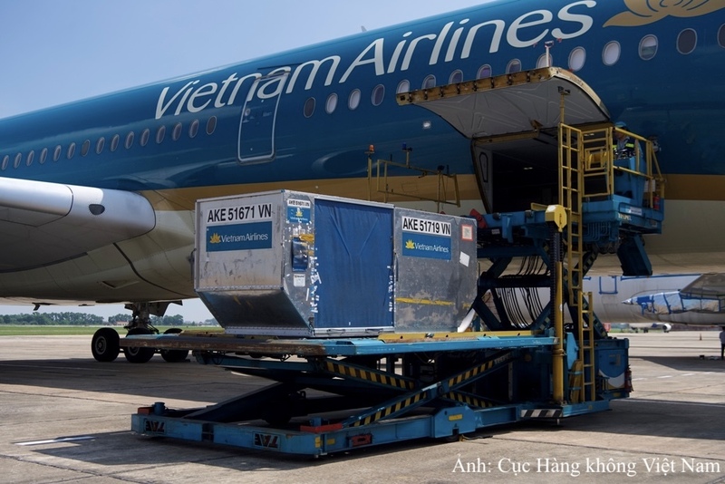 Logistics hàng không Việt Nam đang đứng trước giai đoạn phát triển tích cực.