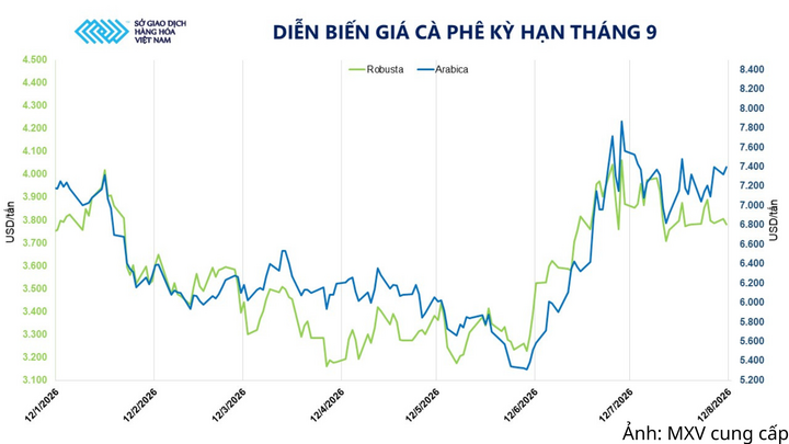 Diễn biến giá cà phê kỳ hạn tháng 9