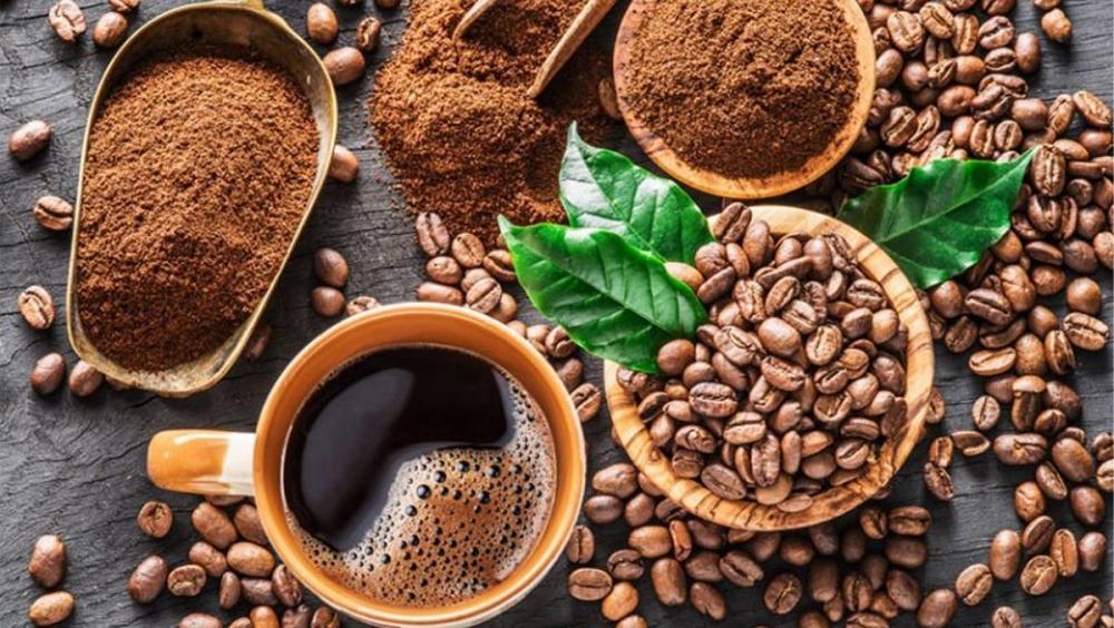 EUDR mở ra động lực mới để cà phê Việt Nam tổ chức lại chuỗi cung ứng