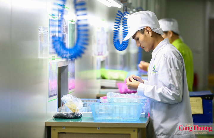 Việt Nam được đánh giá trong nhóm dẫn đầu xu hướng chuyển dịch sang sản xuất sản phẩm công nghệ tiên tiến.