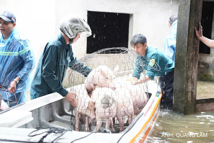 Lực lượng chức năng cũng có mặt kịp thời để hỗ trợ người dân di dời tài sản.